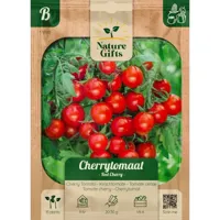 Cherrytomaat red cherry 15st - thumbnail