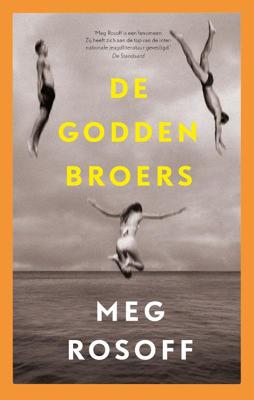 De Godden broers (Hardback)