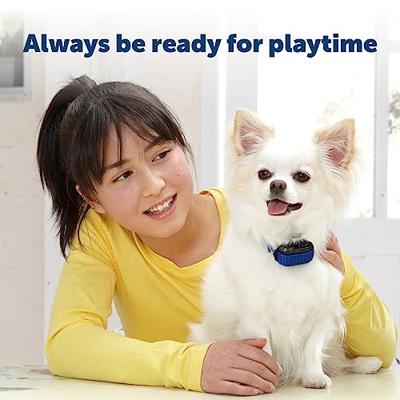 PETSAFE BLAFBAND BATTERIJ VOOR NANO KLEINE HOND - thumbnail