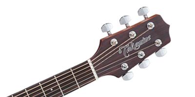Takamine GD20CE-NS elektr.akoest. westerngitaar ceder top natural satin Takamine GD20CE-NS elektr.akoest. westerngitaar ceder top natural satin