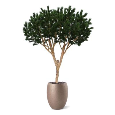 Pinus Umbrella XL Kunstboom Deluxe 260cm