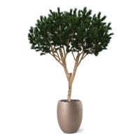 Pinus Umbrella XL Kunstboom Deluxe 260cm - thumbnail