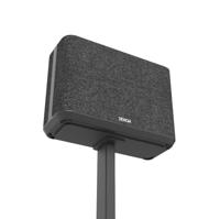 Cavus: Standaard voor Denon Home 250 - Zwart - thumbnail