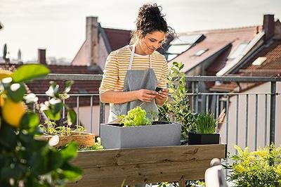 LECHUZA Jardiniere - Balconera steen 50 - 50×19×19 cm - Complete set - Steengrijs - 8 L