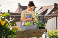 LECHUZA Jardiniere - Balconera steen 50 - 50×19×19 cm - Complete set - Steengrijs - 8 L - thumbnail