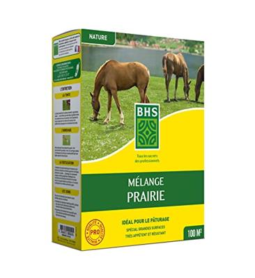 Gazon - BHS - Meadow Mix 1kg | 40m² | Voor grote oppervlakken en weilanden | Snel te installeren, duurzaam, onderhoudsvrij. - thumbnail