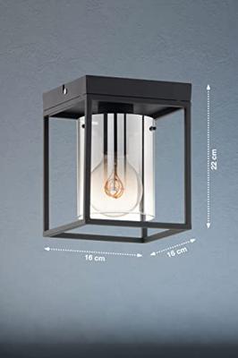 Fischer & Honsel PlafondlampSamu smoke glas - 21303