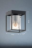 Fischer & Honsel PlafondlampSamu smoke glas - 21303 - thumbnail