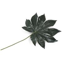 Fatsia leaf kunstplant 55cm - thumbnail