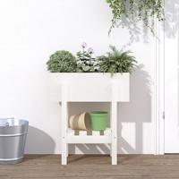 VidaXL Plantenbak 62x30x69 cm massief grenenhout wit - thumbnail