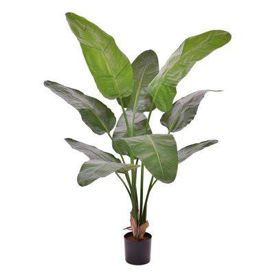 Strelitzia Nicolai deluxe Kunstpalm 145cm in pot