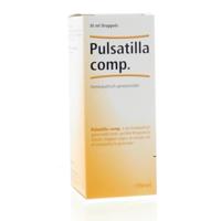 Heel Pulsatilla Comp. Druppels - thumbnail