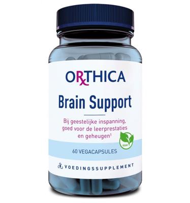 Brain Support