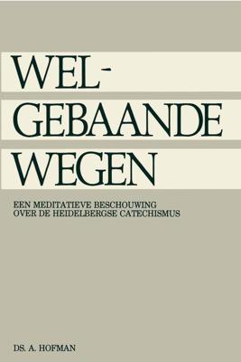 Welgebaande wegen - A. Hofman - ebook