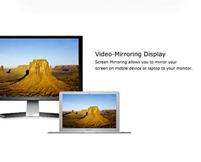 Akasa AK-CBDP23-30BK DisplayPort kabel 3 m Zwart