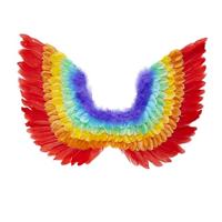 Veren vleugels regenboog 60cm - thumbnail