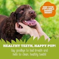 Soopa Dental Sticks met pompoen & wortel hondensnack Per 5 - thumbnail
