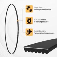 Sage & Ivy jas Tatiana green - thumbnail