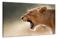 Schilderij -Brullende Leeuwin, 2 maten, premium print, wanddecoratie - thumbnail