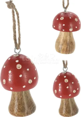 Kerstornament Paddenstoel 7cm Assorti 1st