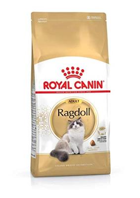 Royal Canin Adult Ragdoll kattenvoer 10 kg - thumbnail
