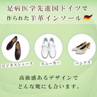 Pedag 110 Leather - alle - thumbnail