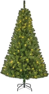 Black Box Trees Charlton grote verlichte kunstkerstboom voor buiten groen 240cm - 470 lampjes