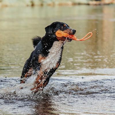 Hondenspeelgoed Aqua Avio Hondenspeelgoed Aqua Avio