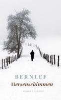Hersenschimmen (Paperback) - thumbnail