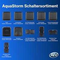 REV 0004860400 Schakel-/stopcontact combinatie Compleet AquaStorm Lichtgrijs, Zwart 1 stuk(s) - thumbnail
