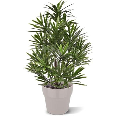 Podocarpus kunstboeket 40 cm UV