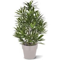 Podocarpus kunstboeket 40 cm UV - thumbnail
