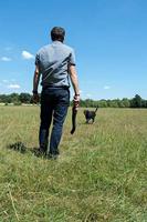 Dog Comets Star Launcher Oranje - thumbnail