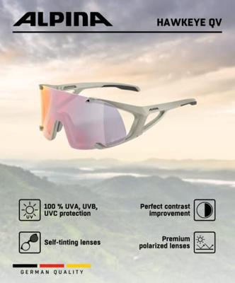 Olympic Sportswear Alpina sports sportbril hawkeye qv grijs