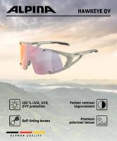 Olympic Sportswear Alpina sports sportbril hawkeye qv grijs - thumbnail