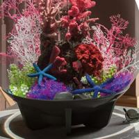 BiOrb zeester set 3 blauw aquarium decoratie - thumbnail
