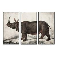 Schilderij DKD Home Decor Koloniaal Neushoorn (180 x 4 x 120 cm) - thumbnail