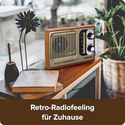 Franzis Verlag UKW-Radio zum Stecken VHF (FM) Retro-radio Vanaf 14 jaar
