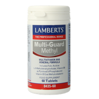 Multi-guard methyl 60 Tabletten - thumbnail