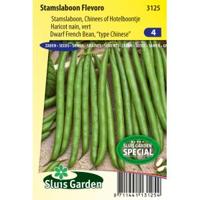 Stamslaboon (chinees) zaden - Flevoro - thumbnail