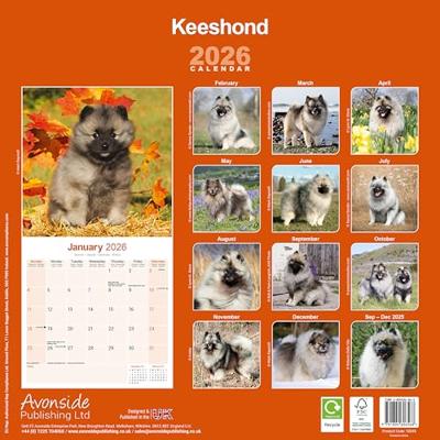 Keeshond Kalender 2026 Keeshond Kalender 2026
