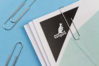 Kangaro papierklemmen 50 mm rond verzinkt, doos 100 stuks - thumbnail