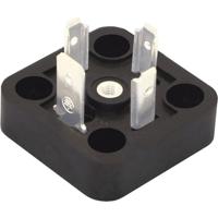 HTP BG1N03000-HT Zwart Aantal polen:3 + PE Inhoud: 1 stuk(s) - thumbnail