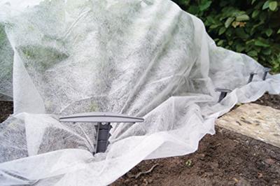 Connex Foliehouder Extra 12X11Cm 10St - FLOR78830