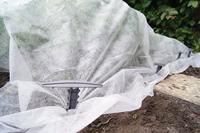 Connex Foliehouder Extra 12X11Cm 10St - FLOR78830 - thumbnail