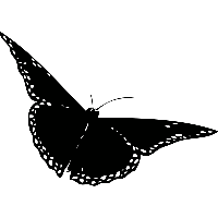 Vlinder - Muursticker - thumbnail