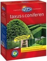 Viano Taxus coniferen 4 kg - thumbnail