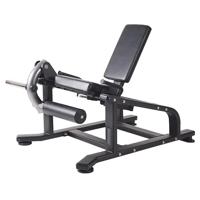 Toorx Professional AKTIV - Leg Extension Machine - FWX-4800 - thumbnail