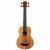 Kala U-Bass Nomad Fretted bas ukelele met gigbag Kala U-Bass Nomad Fretted bas ukelele met gigbag