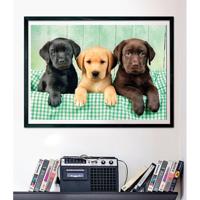 Clementoni Puzzel 1000 stuks Labrador pubs 3 kleuren compact - thumbnail